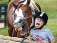 /album/imagens-engra%c3%a7adas/cavalo-a-rir-2-jpg/